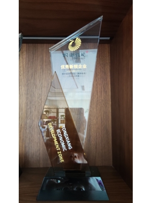 桐鄉(xiāng)經(jīng)濟(jì)開(kāi)發(fā)區(qū)(高橋街道) 優(yōu)秀新銳企業(yè)