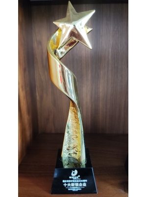 桐鄉(xiāng)經(jīng)濟(jì)開(kāi)發(fā)區(qū)成立30周年 十大新銳企業(yè)